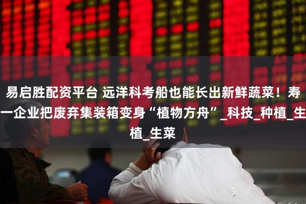 易启胜配资平台 远洋科考船也能长出新鲜蔬菜！寿光一企业把废弃集装箱变身“植物方舟”_科技_种植_生菜
