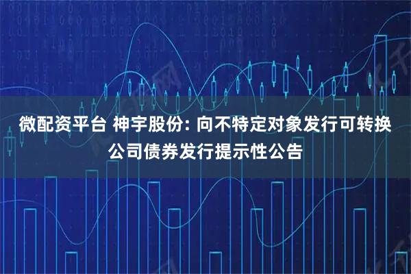 微配资平台 神宇股份: 向不特定对象发行可转换公司债券发行提示性公告